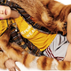 Vogue Italia
